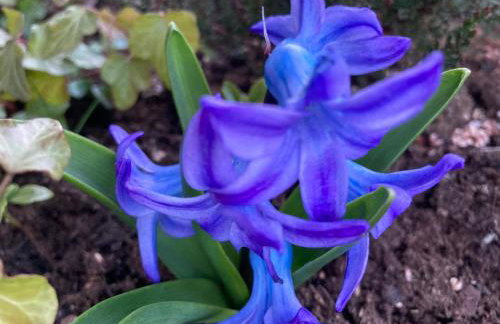 Brama Gór - Foto 52