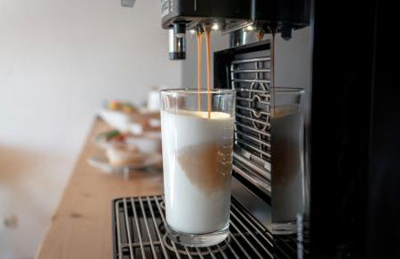 Ferienhaus und Landhaus Berger - Foto 12