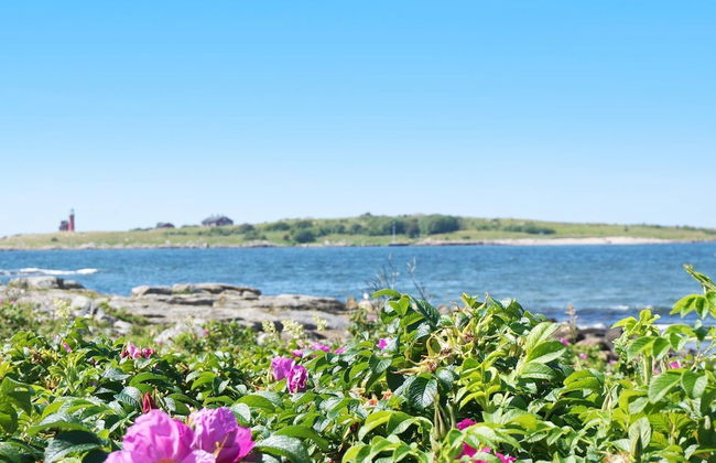 4 Star Holiday Home in Halmstad - Foto 30