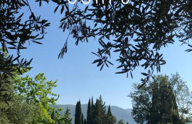 Villa Lithia - Foto 72