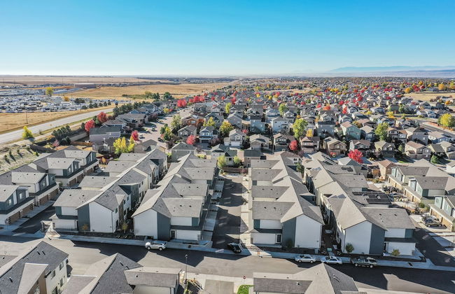 Top Flight - Foto 44