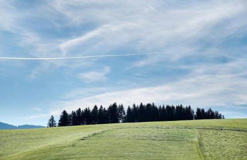 Stockerhof - Foto 40