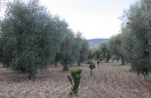 Olive&Sea Villa-SEA - Foto 26