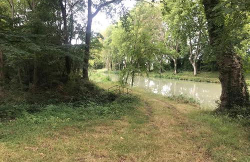 Bus atypique au bord du canal du midi et au cœur d'une forêt 2 chambres - Foto 34