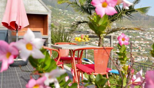 Casa Horizonte - Photo 5, Garden