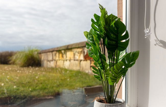 Shore View - Donnini Apartments - Foto 14