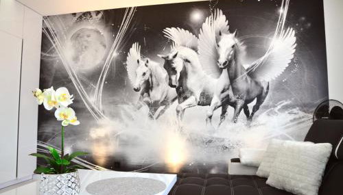 Apartament Pegaz - Foto 5