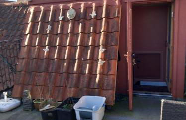 Saracens Head above the pub near Chaple st Leonards - Foto 52