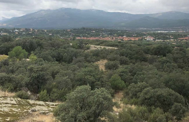 Tour in Alpedrete - Foto 1