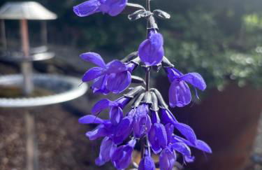 Cabin centrally Located in the Cornish Countryside - Foto 43