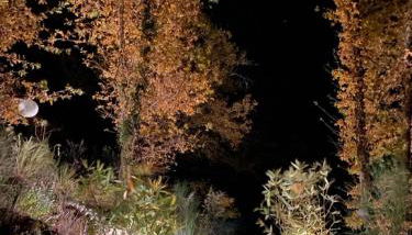 Ecogîte Lalalandes Aveyron - Photo 3, Garden, Garden view