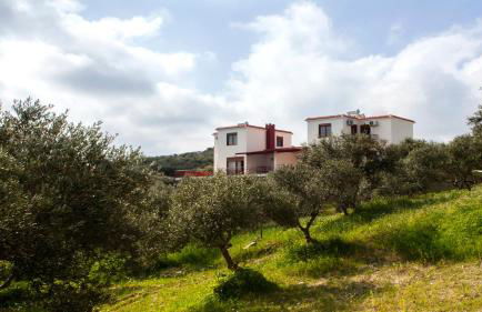 Fοivos and Athina Villas - Foto 25