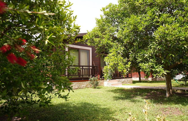 Cirali Villas 2 - Foto 14