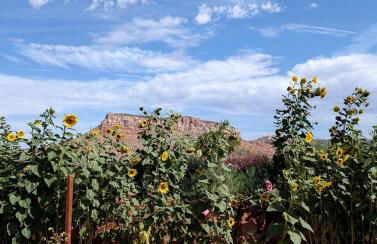 Idyllic Tiny Cabin Lovely for a Romantic Escape in Arizona - Foto 28