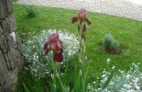 Apartmani Aldo - Foto 13