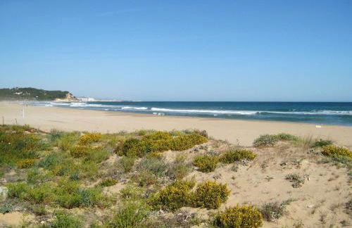 AT048 Gregal - Foto 8