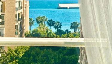 Perla de Malagueta - Foto 3