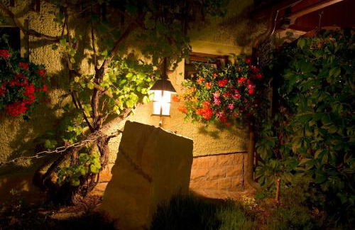 Appartement`s - HAUS KAROLA - Photo 19