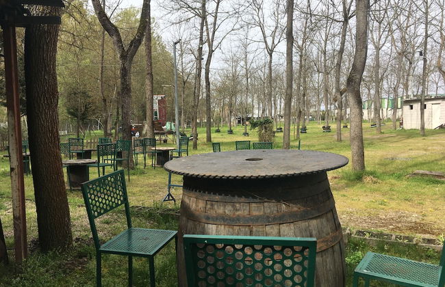 Hotel Rural Caminomedulas - Photo 63