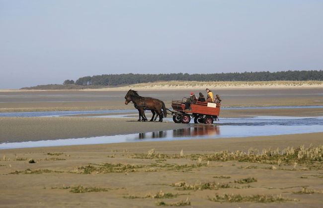 Beautiful Apartment, 2 Terraces, Near Beach - Photo 26