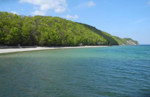 Alte Fischerkate und Möwennest - Foto 4