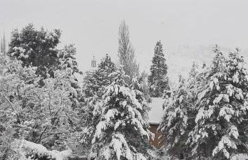 La casa del escudo - Foto 51