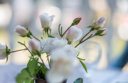 Apartmani Dujmović - Foto 19