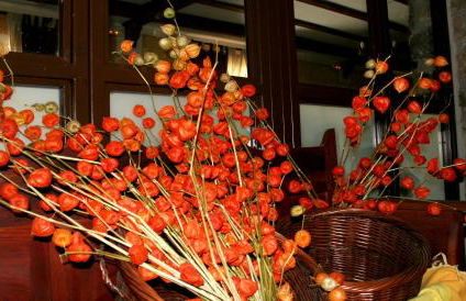 Hospedería El Pico del Fraile - Foto 30