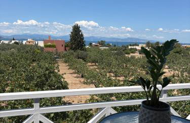 Irène House - Foto 9