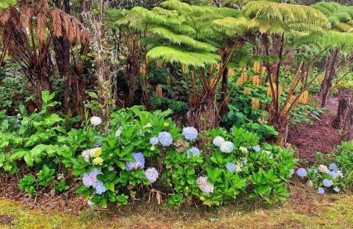 Romantic Retreat, Relax at Hot-tub, Indoor & Outdoor shower, firepit, 5 min to Hawaii Volcano park - Foto 18