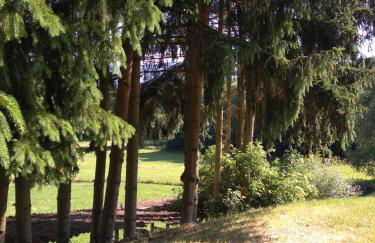 Wohnungen- Christopherhof MJ,Grafenwiesen - Photo 30