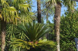 QUINTA DO RIBEIRO Garden House - Foto 14