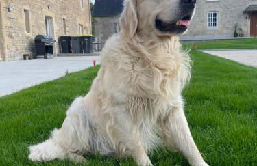 Gite du Douet de moulagny - Photo 36