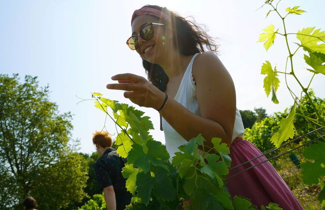 VVF Soulac-sur-Mer Bordeaux Médoc - Photo 22