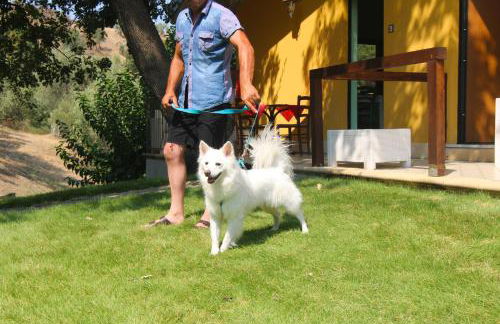 Agriturismo Vulcano - Foto 114