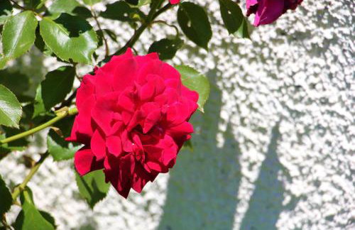 Amarynthos Beachfront Vacation House with garden - Foto 12