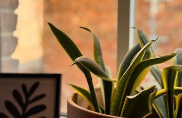 Apartament Stare Centrum - Foto 11