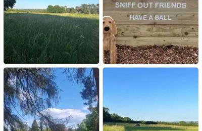 Spacious Country Cottage Sleeps 7, Air Con, Fire Pit & Dog Friendly close to Bath - Foto 48