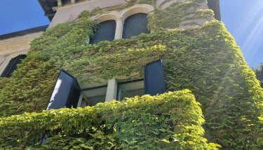 Residenza Borgo 27 - Foto 4, Garden view