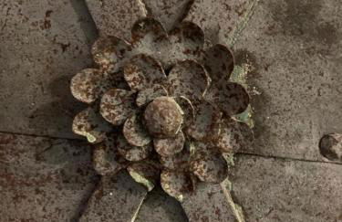 Ferienwohnung Kieslich - Foto 7