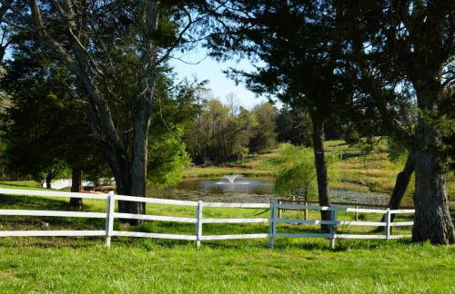 In the Woods by a Pond! Sugar Ranch Guest House! - Foto 25