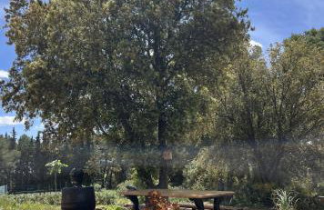 La Tour de Roubeirolle - Foto 32