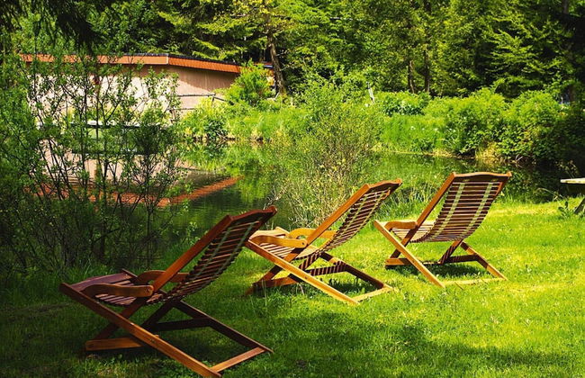 Apartment in Alsace With Nature Retreat - Foto 12