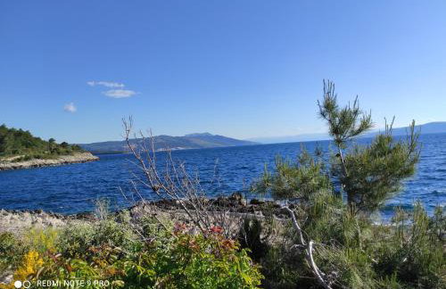 Apartment Ornela - Photo 17