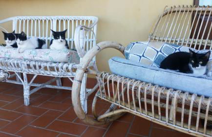 il Chiassetto Agriturismo No Kids - Foto 44