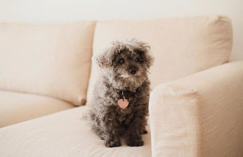 Elegance & Relax - Tennis, child park, 20 minutes from Duomo - Foto 35