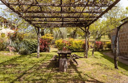 Bio Agriturismo I Lapi - Foto 28