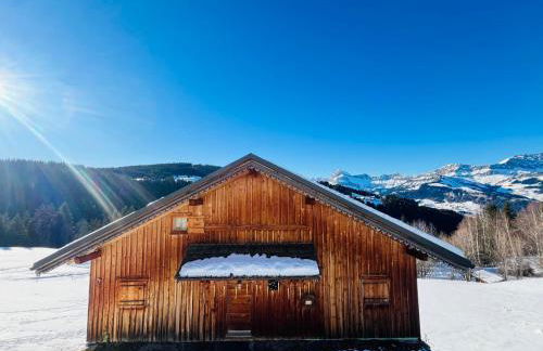 Charmant Mazot Savoyard avec WIFI et Animaux Acceptés - FR-1-505-217 - Foto 1