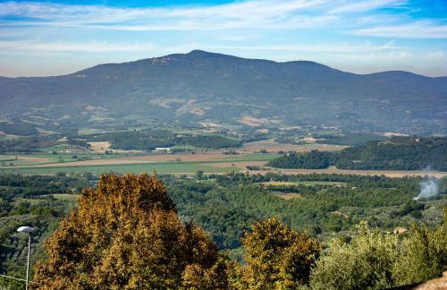 Casa del Cocciaro - Photo 13