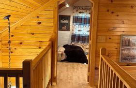 The Cozy Family Wabasha Cabin - Foto 20